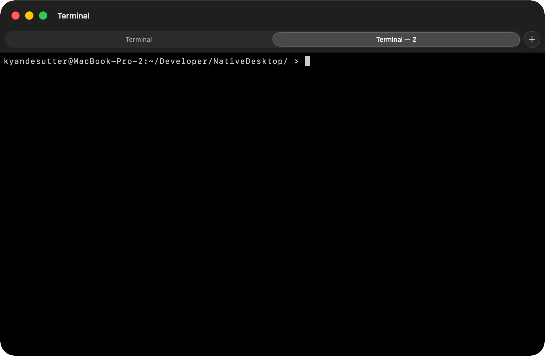 Two native NSWindow tabs and the new-tab button in the terminal example on macOS (AppKit)