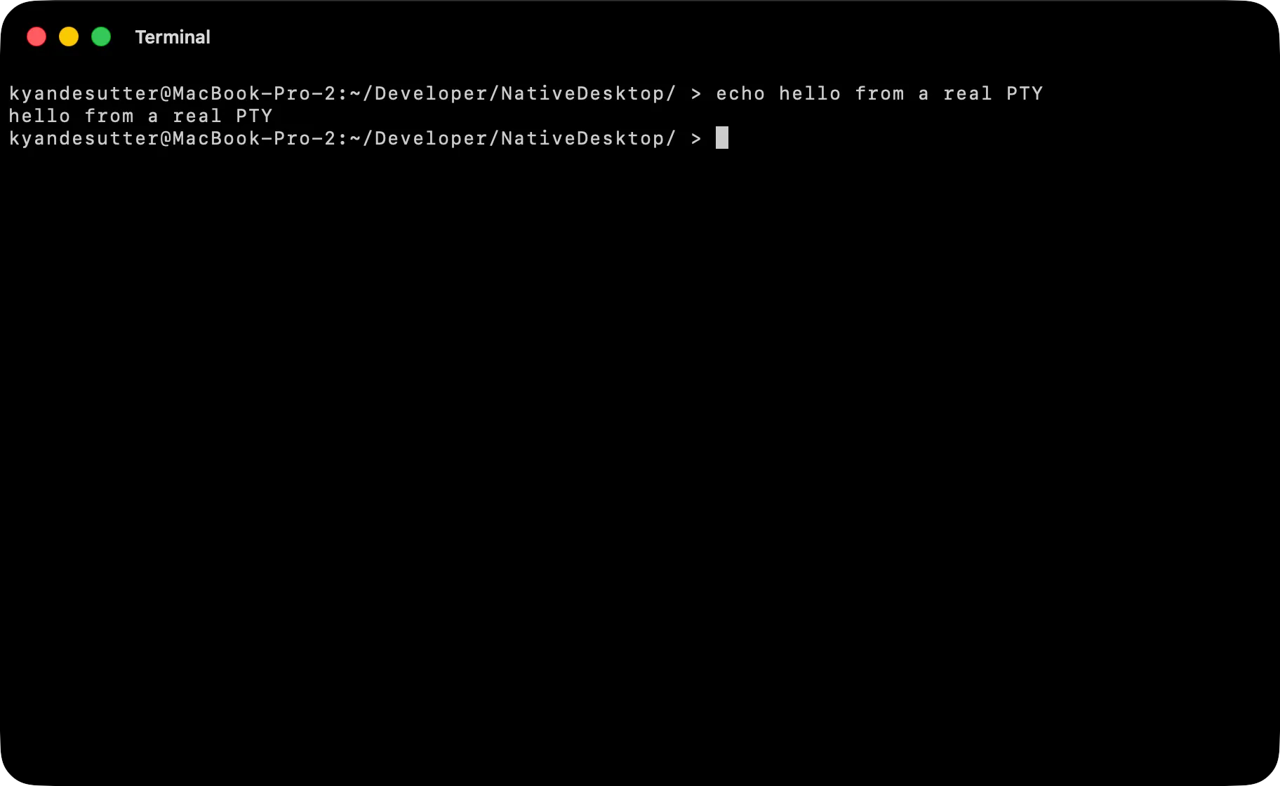 The terminal example running a shell on macOS (AppKit)